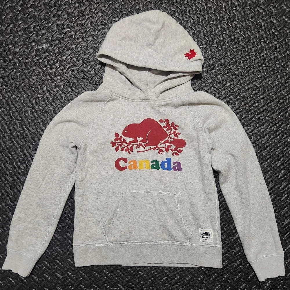 Roots Kids Gray Hoodie - Picture 1 of 5